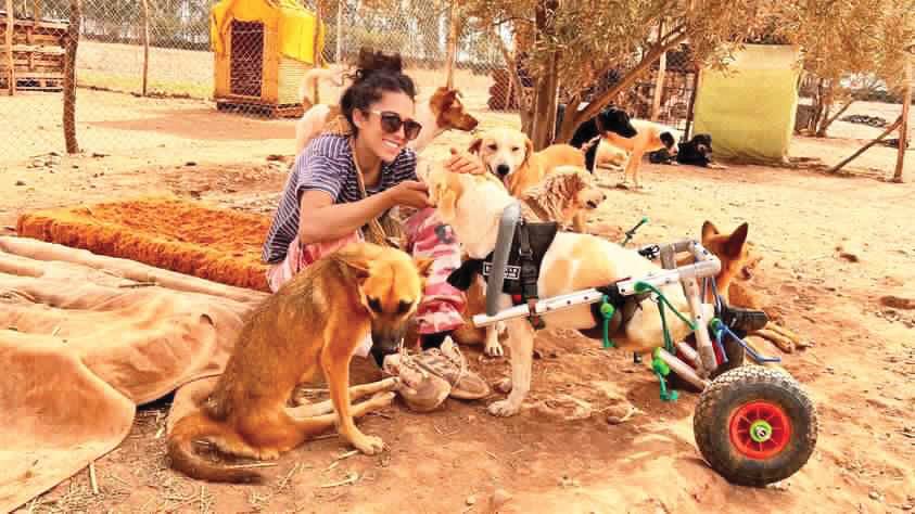 Nos amis pour la vie