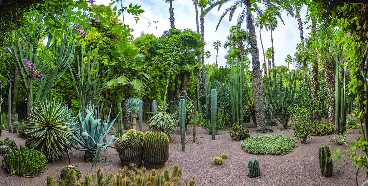 Le Jardin Majorelle