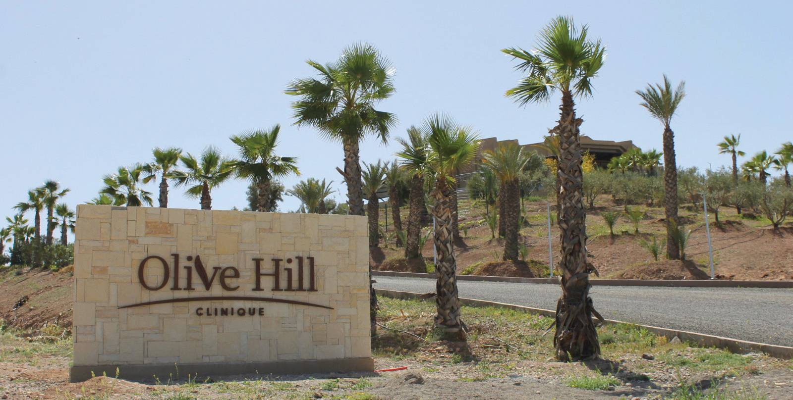 Olive Hill